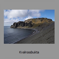 Kvalrossbukta